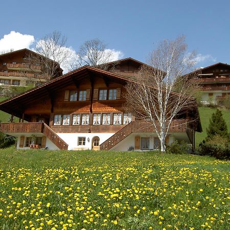 Апартаменты Chalet Unter Dem Stein Гриндельвальд Экстерьер фото