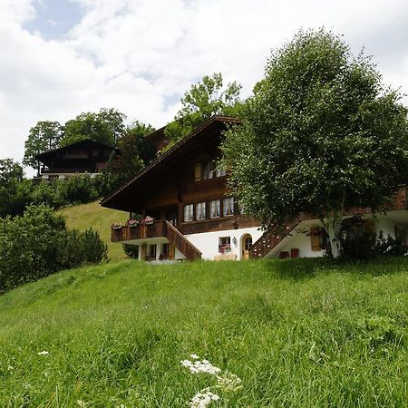 Chalet Unter Dem Stein Гриндельвальд Экстерьер фото