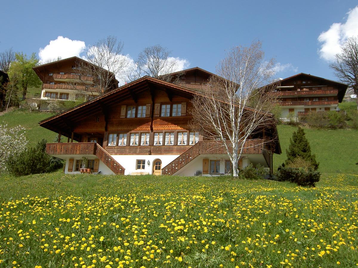 Апартаменты Chalet Unter Dem Stein Гриндельвальд Экстерьер фото