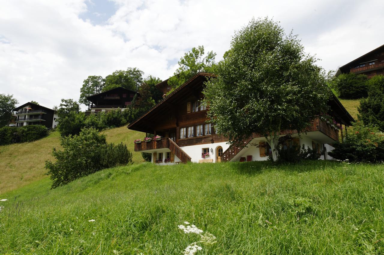 Chalet Unter Dem Stein Гриндельвальд Экстерьер фото